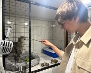Воспитательная работа